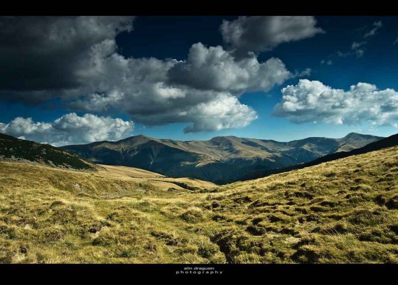 mts gugu-moraru-godeanu.jpg